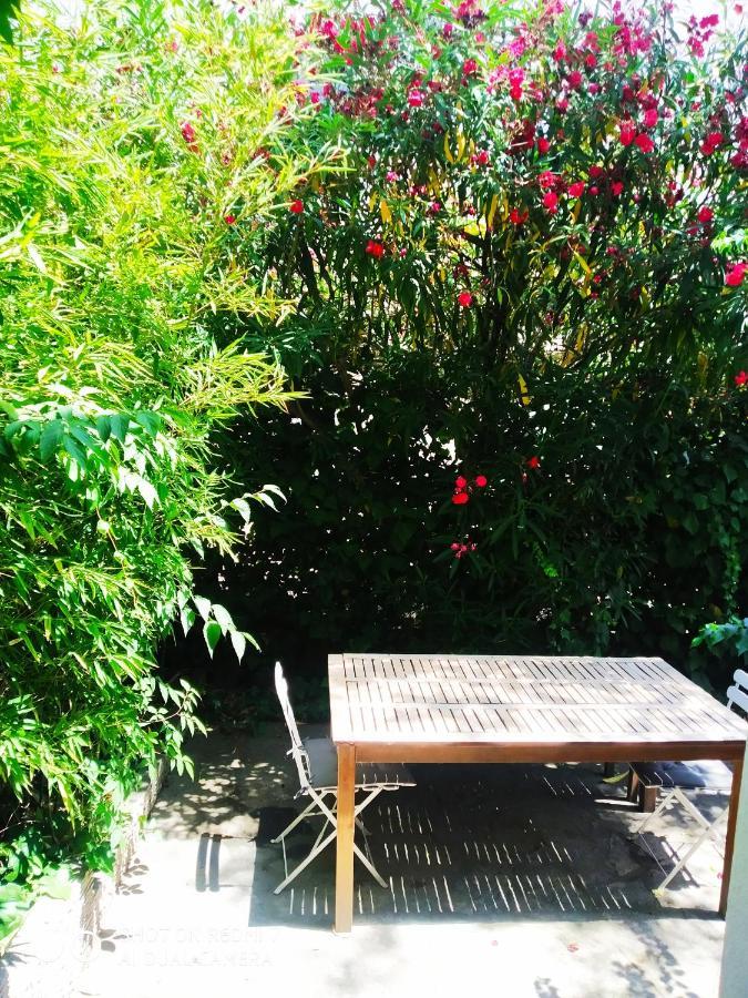 Les Lauriers Roses Apartment นาร์บอนน์ ภายนอก รูปภาพ