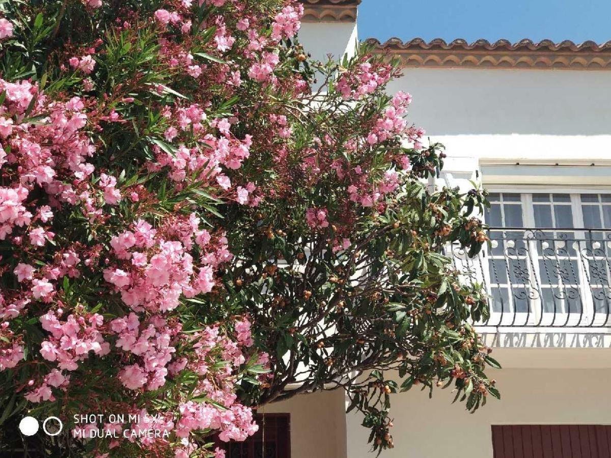 Les Lauriers Roses Apartment นาร์บอนน์ ภายนอก รูปภาพ